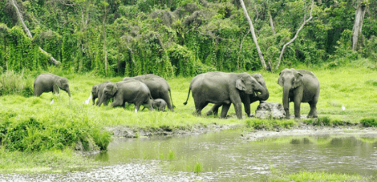 Rajasthan Wildlife Tour